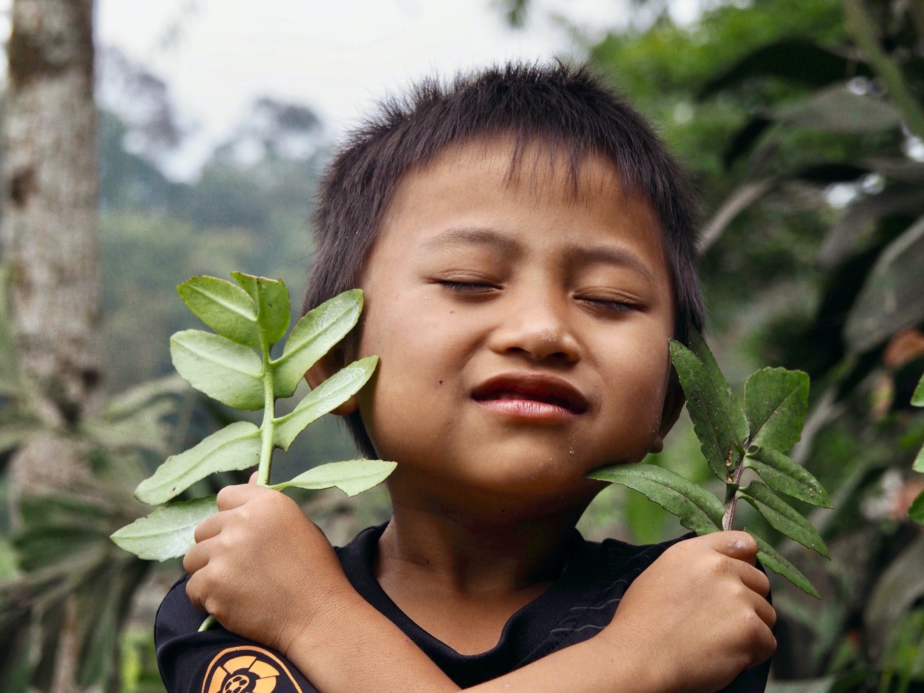 indonesia, living with the forest